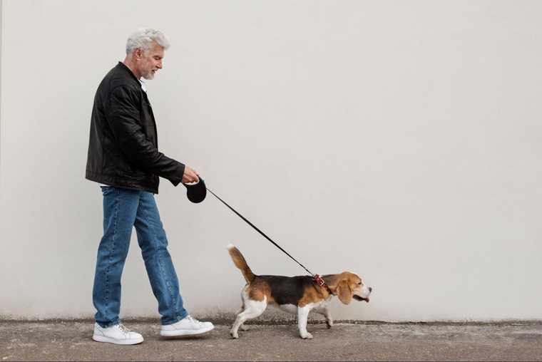 deaf dog obedience training