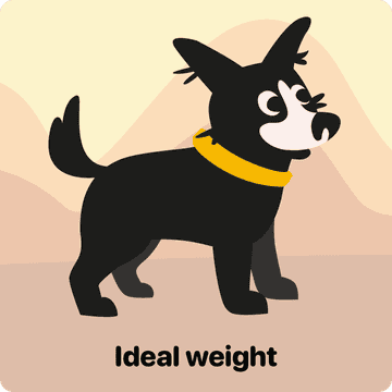 how much food for a dog per day