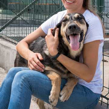 what to expect when adopting a rescue dog
