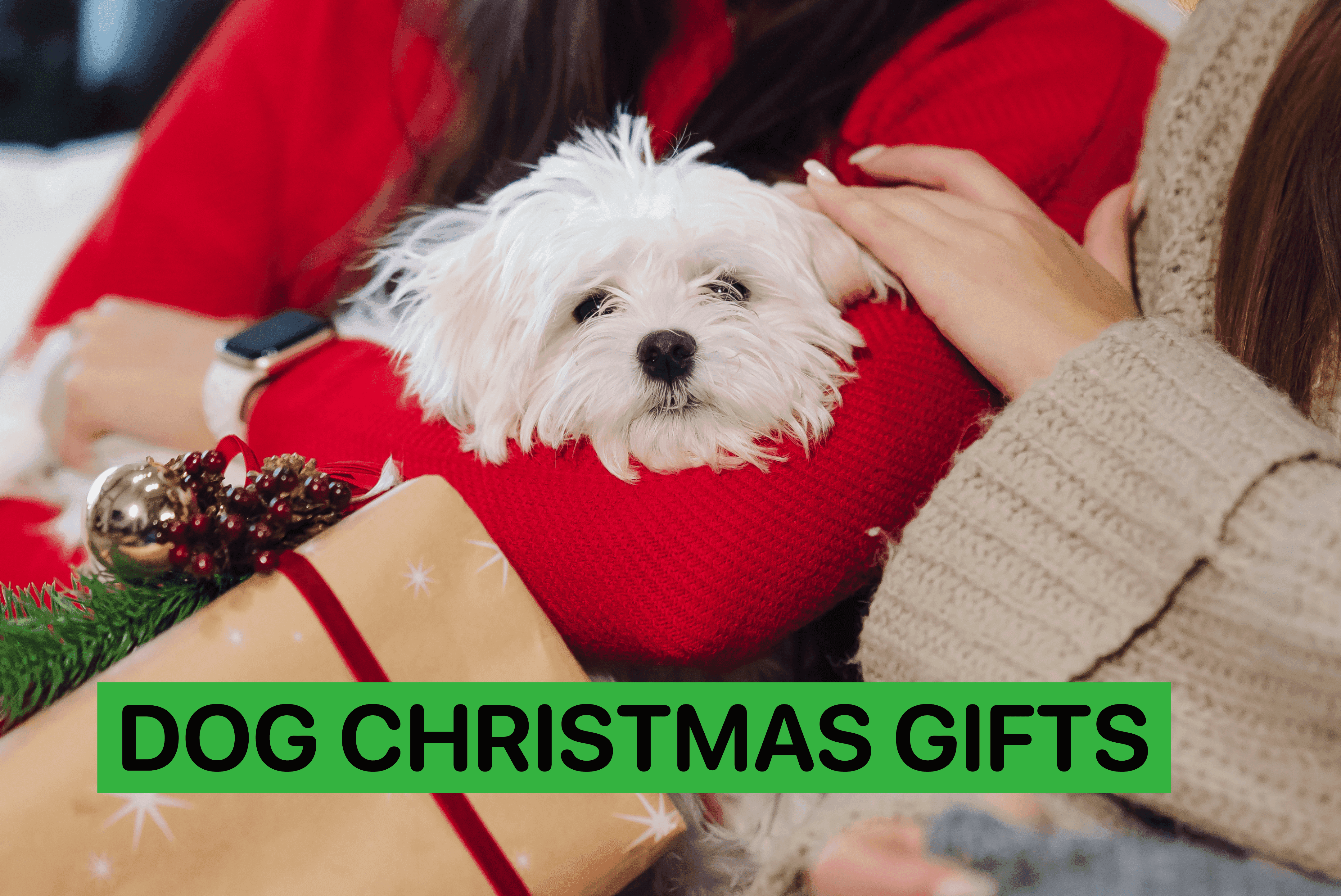 christmas dog gifts