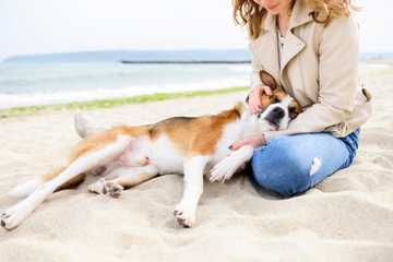 signs of a heat stroke in dogs