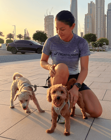 maltipoo cachorros