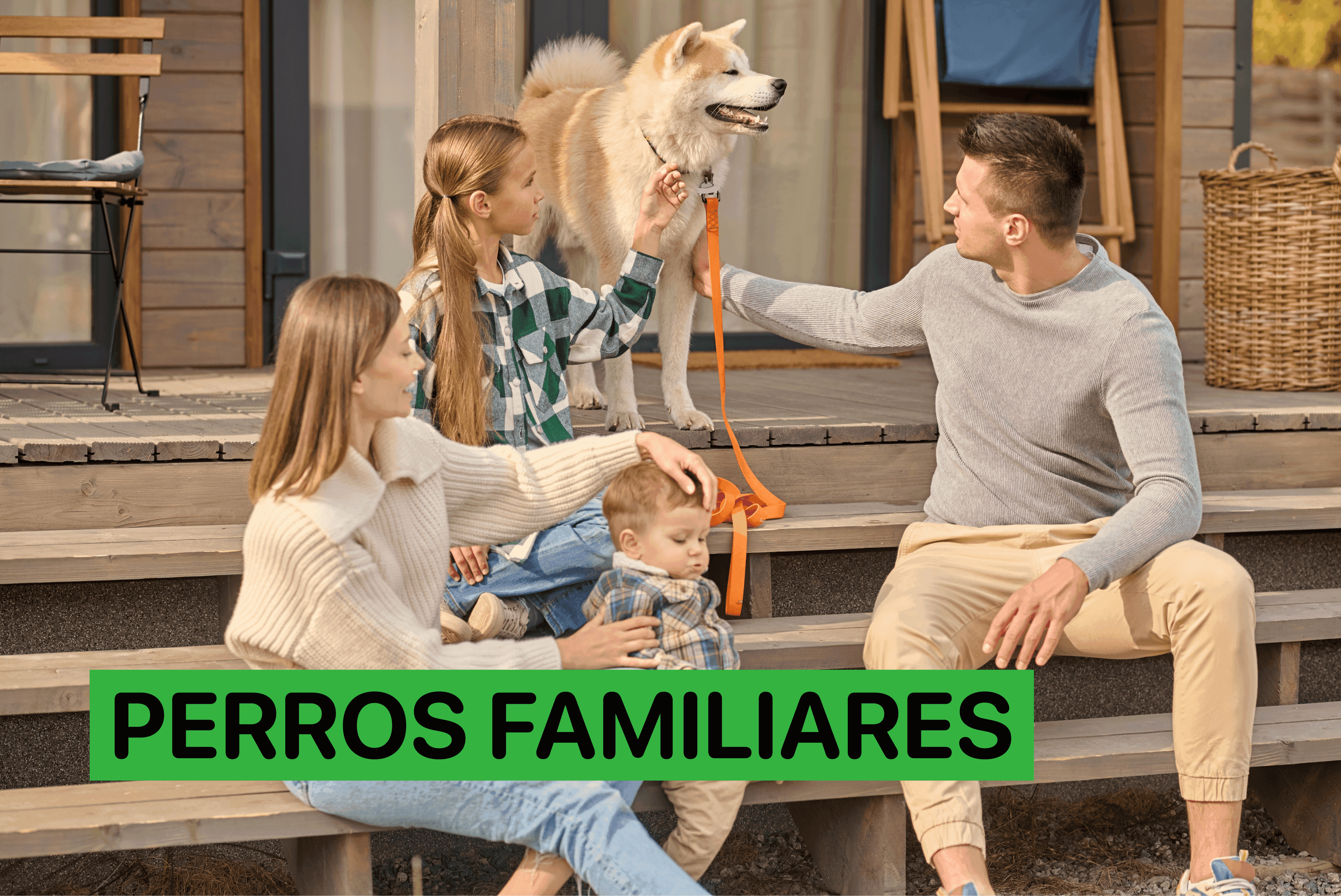 perros familiares