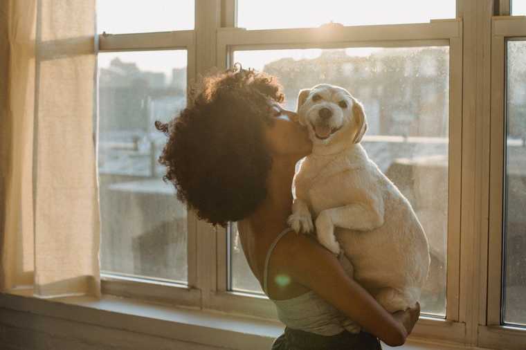 advanced dog training guide