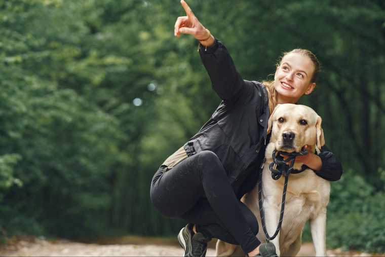 training a deaf dog