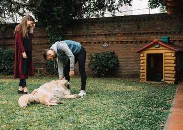 how to train a dog to heel
