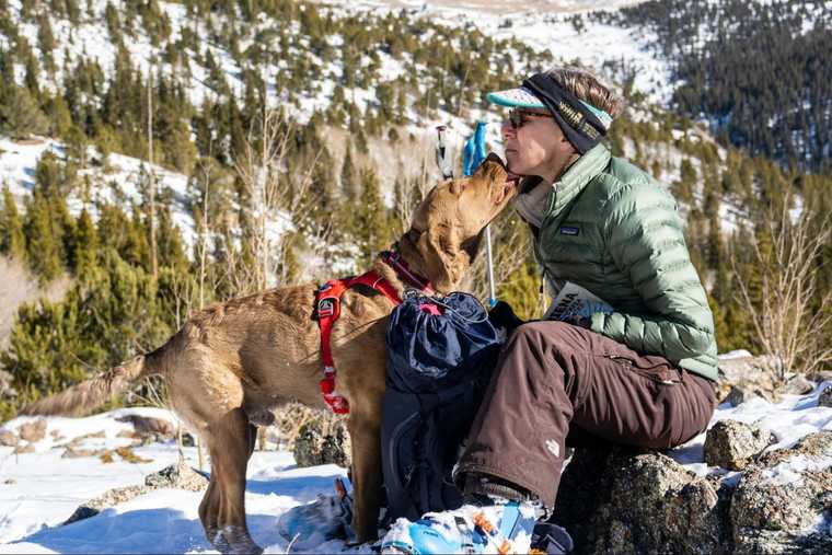 perro asistencia emocional