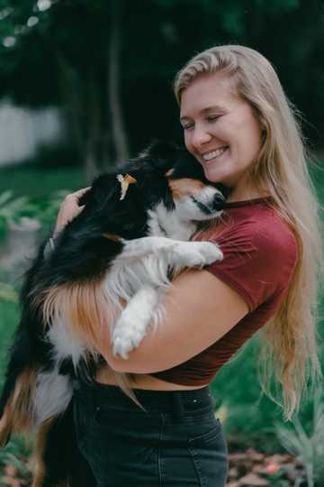 how to train my dog