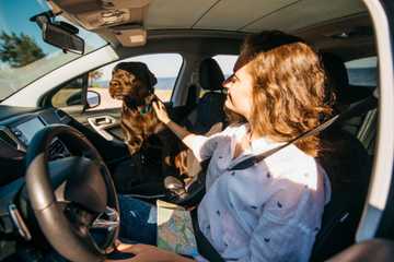 se puede dejar el perro en el coche