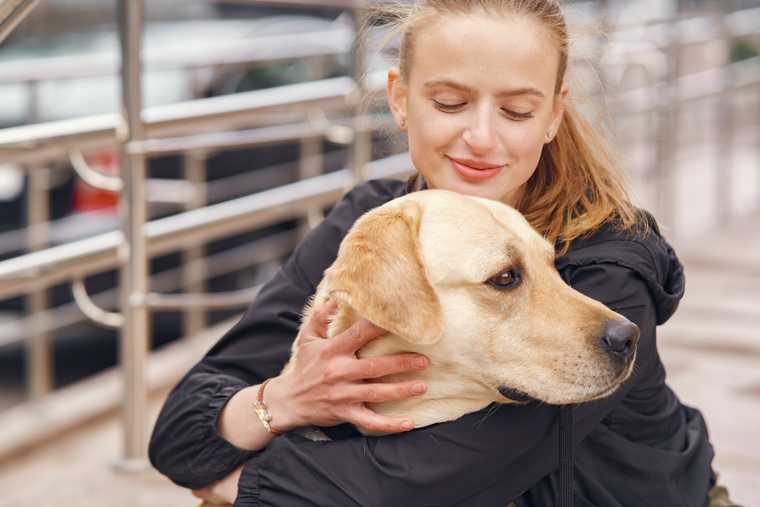 how to potty train a shelter dog