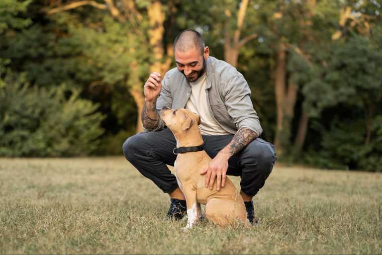 dog training methods