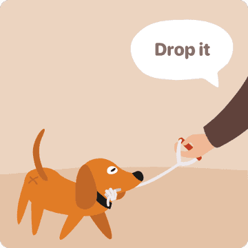 hand commands for dogs