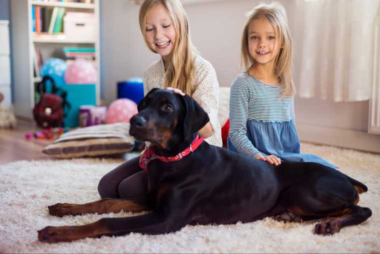 why is my dog afraid of kids