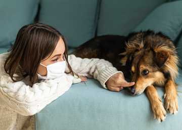 how do you socialize a puppy