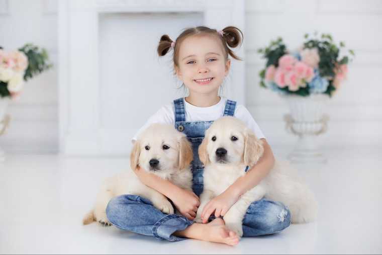 puppy life stages