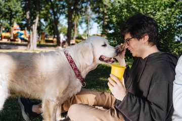 how to make dog stop begging for food