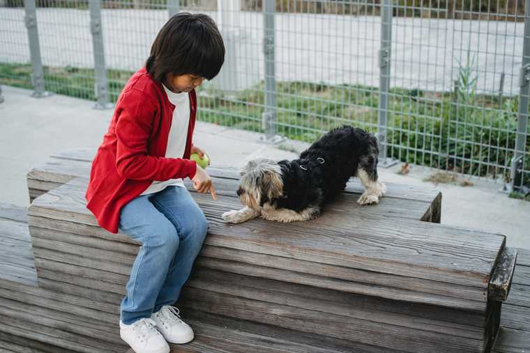 dogs and children