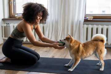 how to exercise your dog in the winter