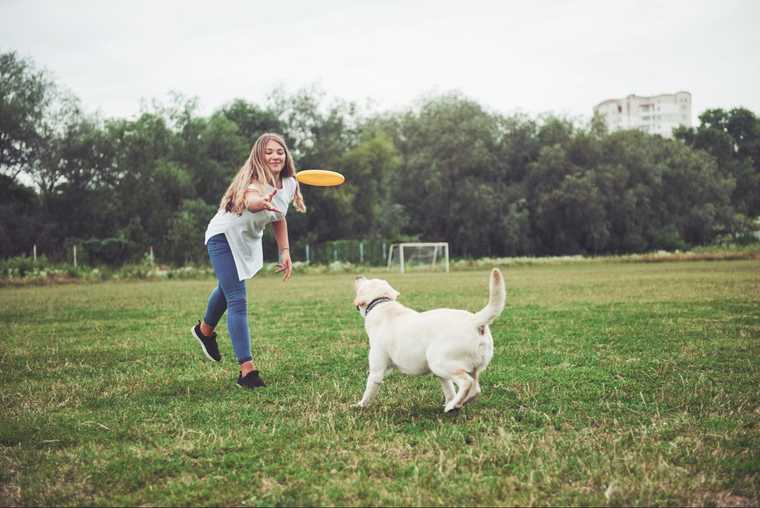 teach dog fetch