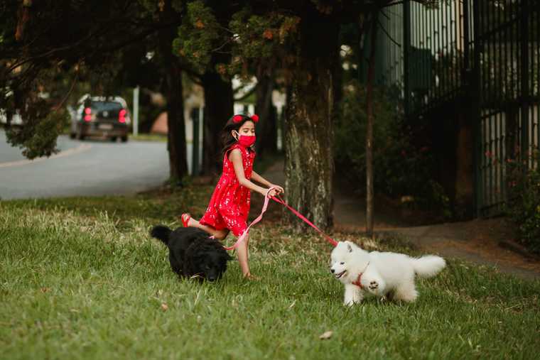 toddlers and dogs