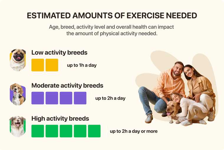 how often to walk dog