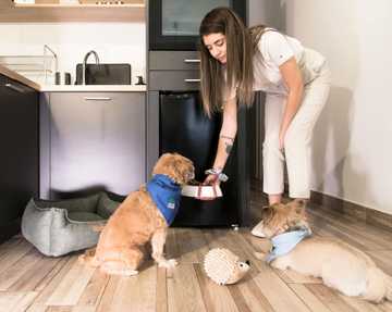 como hacer para que un cachorro deje de llorar
