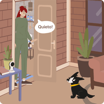 perro quieto