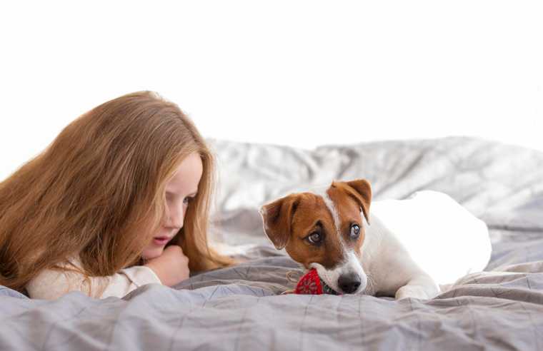 que hacer para que un cachorro no muerda
