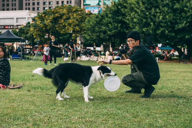 como educar a un perro