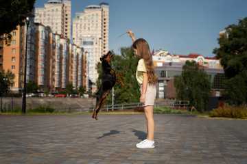 como enseñarle trucos a mi perro