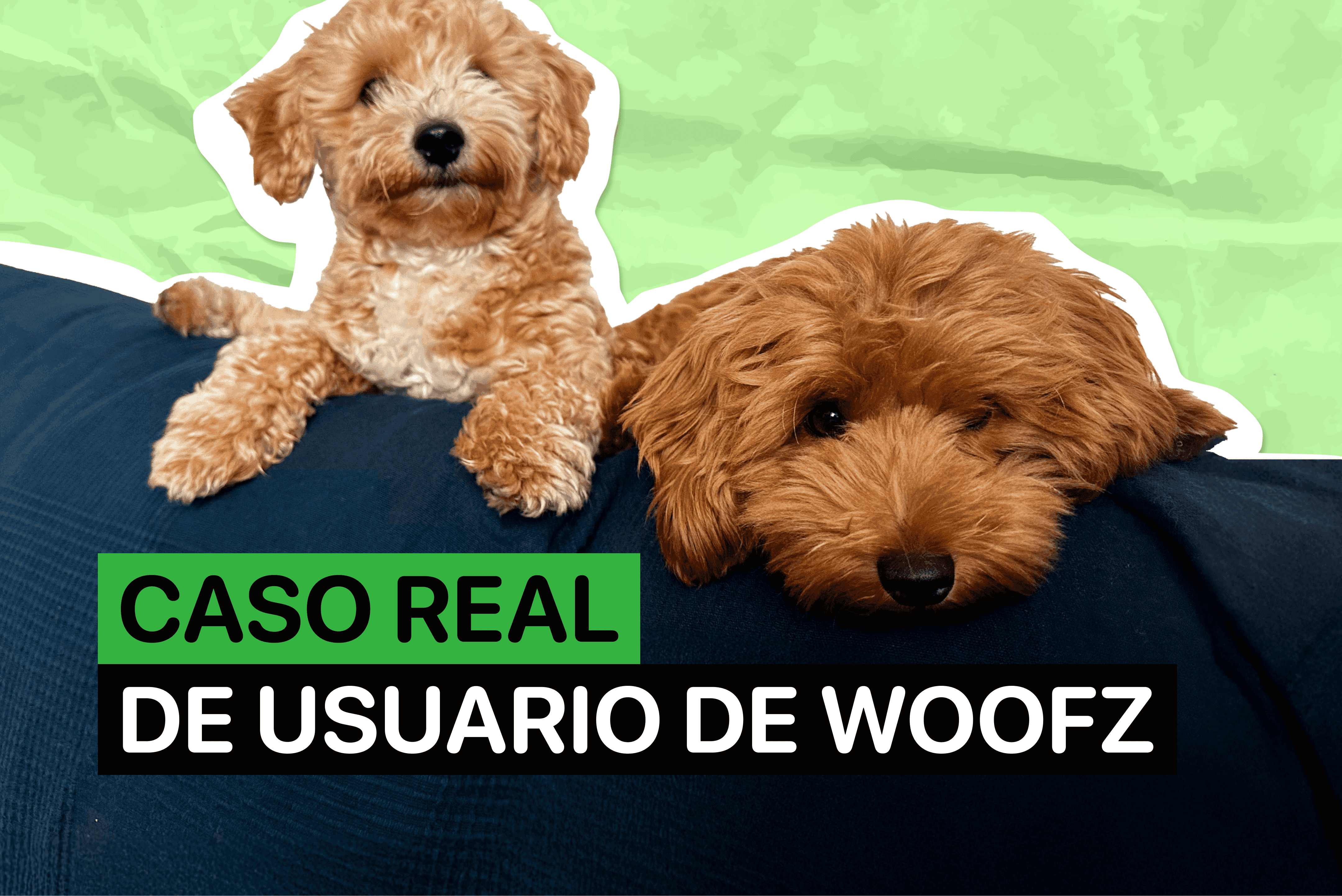 Caso real de usuario de Woofz