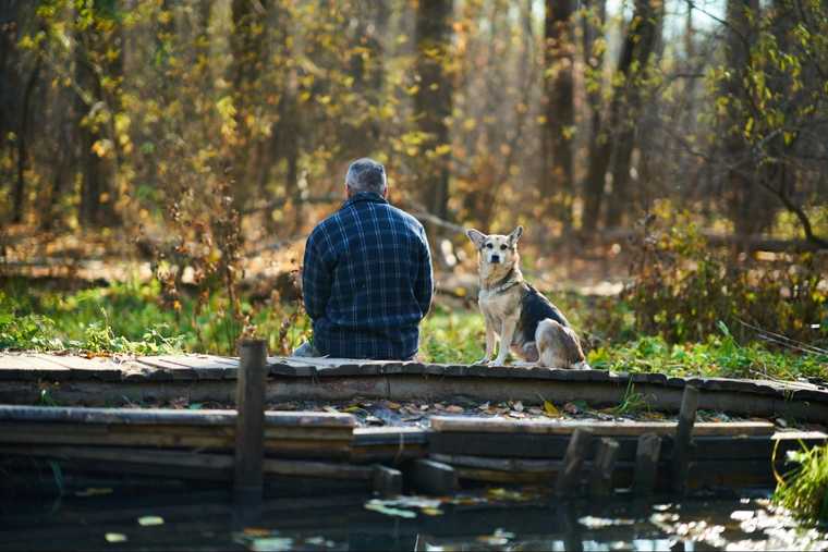 perro de asistencia emocional