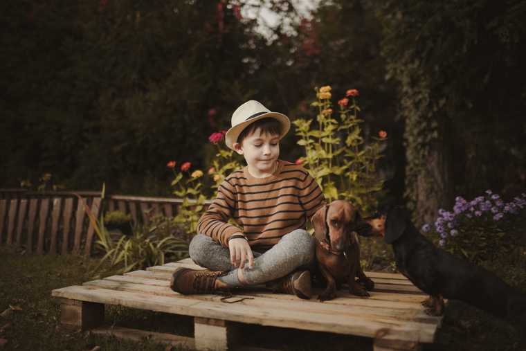 dog safety for families