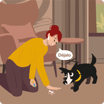 señales de los perros