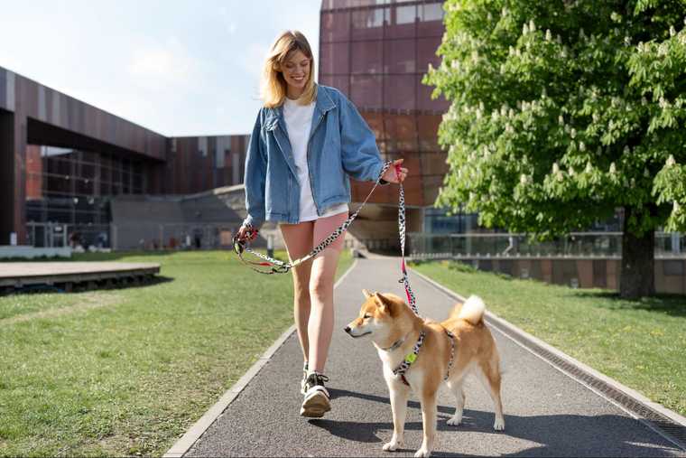 puppy training methods