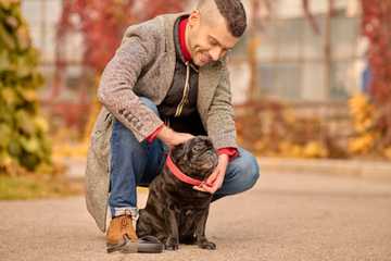 heel command to dog