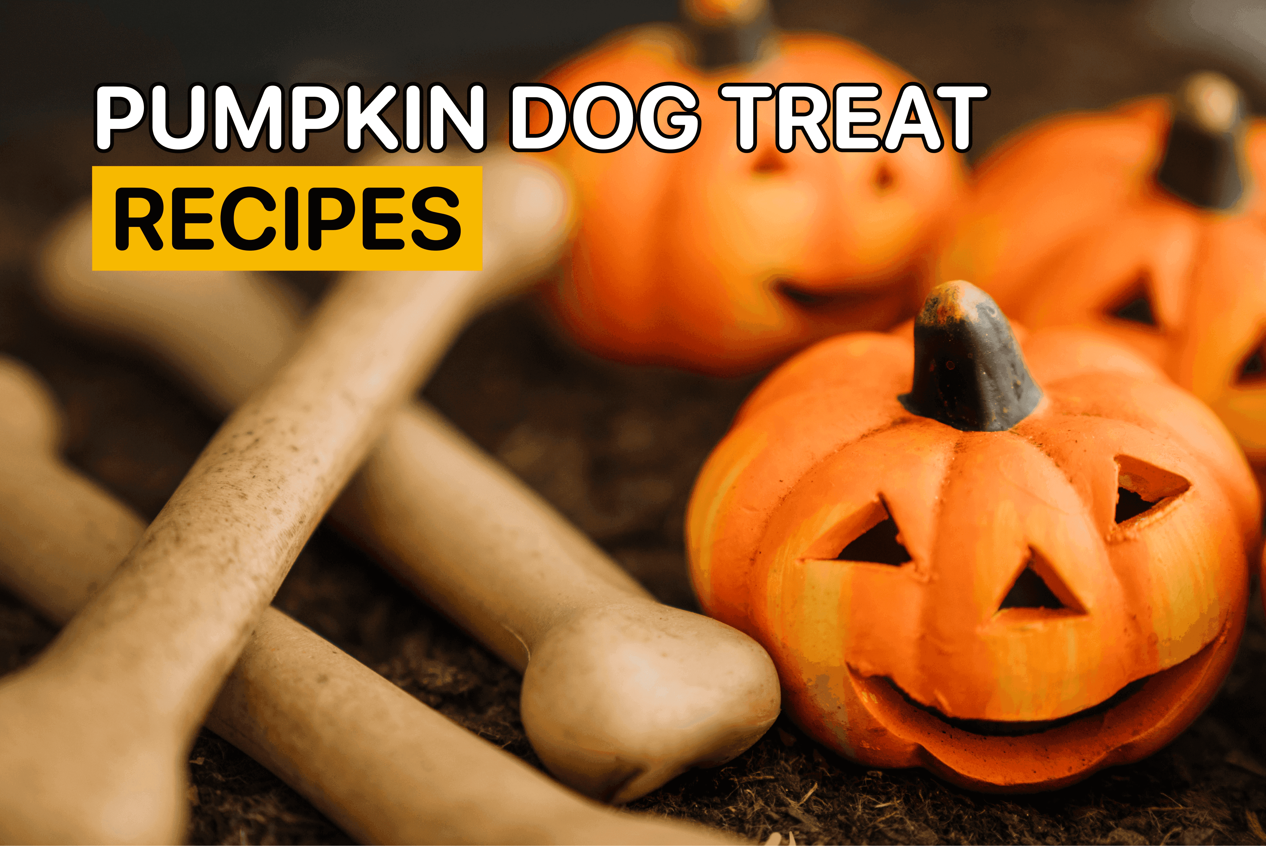pumpkin dog treat recipes
