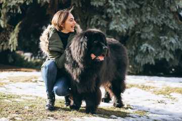 el mejor perro para los niños