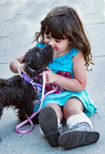 are dogs good with babies