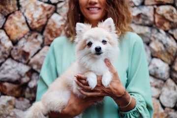 puppy training schedule