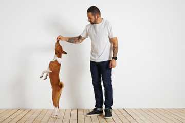 trucos para perro