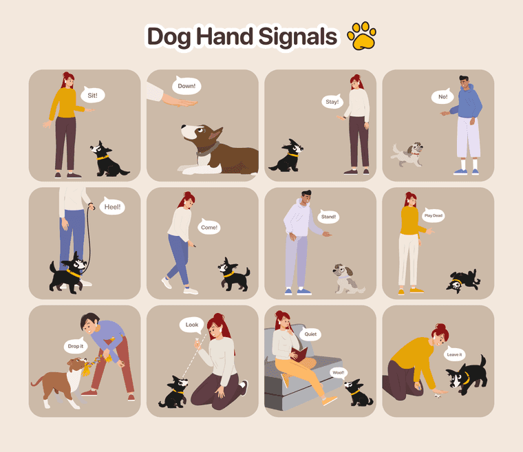 dog training hand signals chart pdf