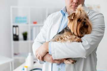 puppy regressed potty training
