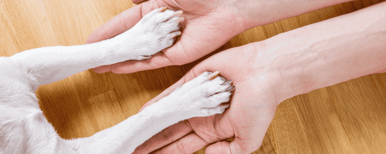 how long can big dogs hold their pee