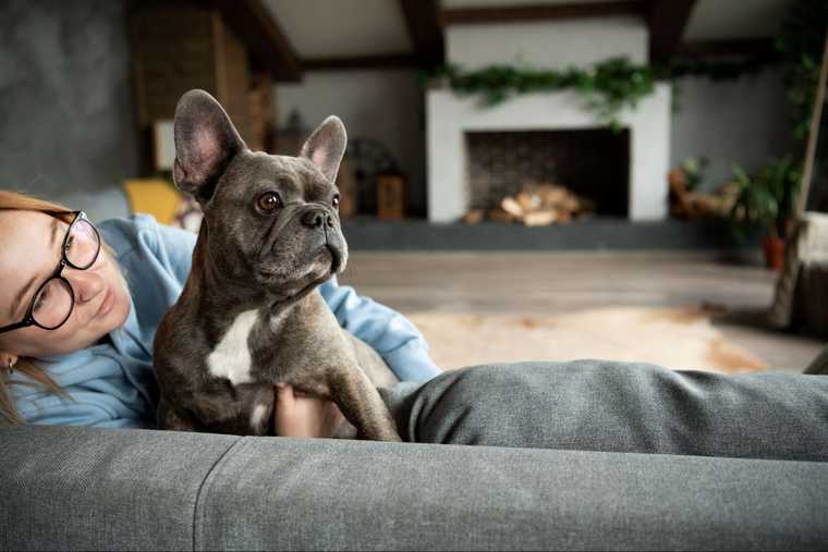 developmental stage of puppy