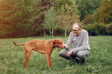 how to train an older dog basic commands