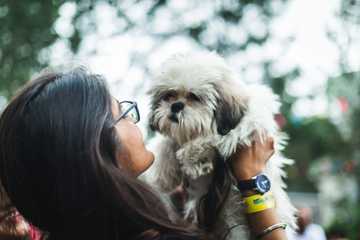 dogs eat feces