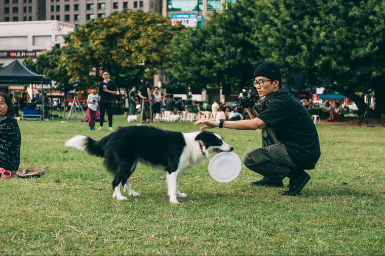 disc dog training